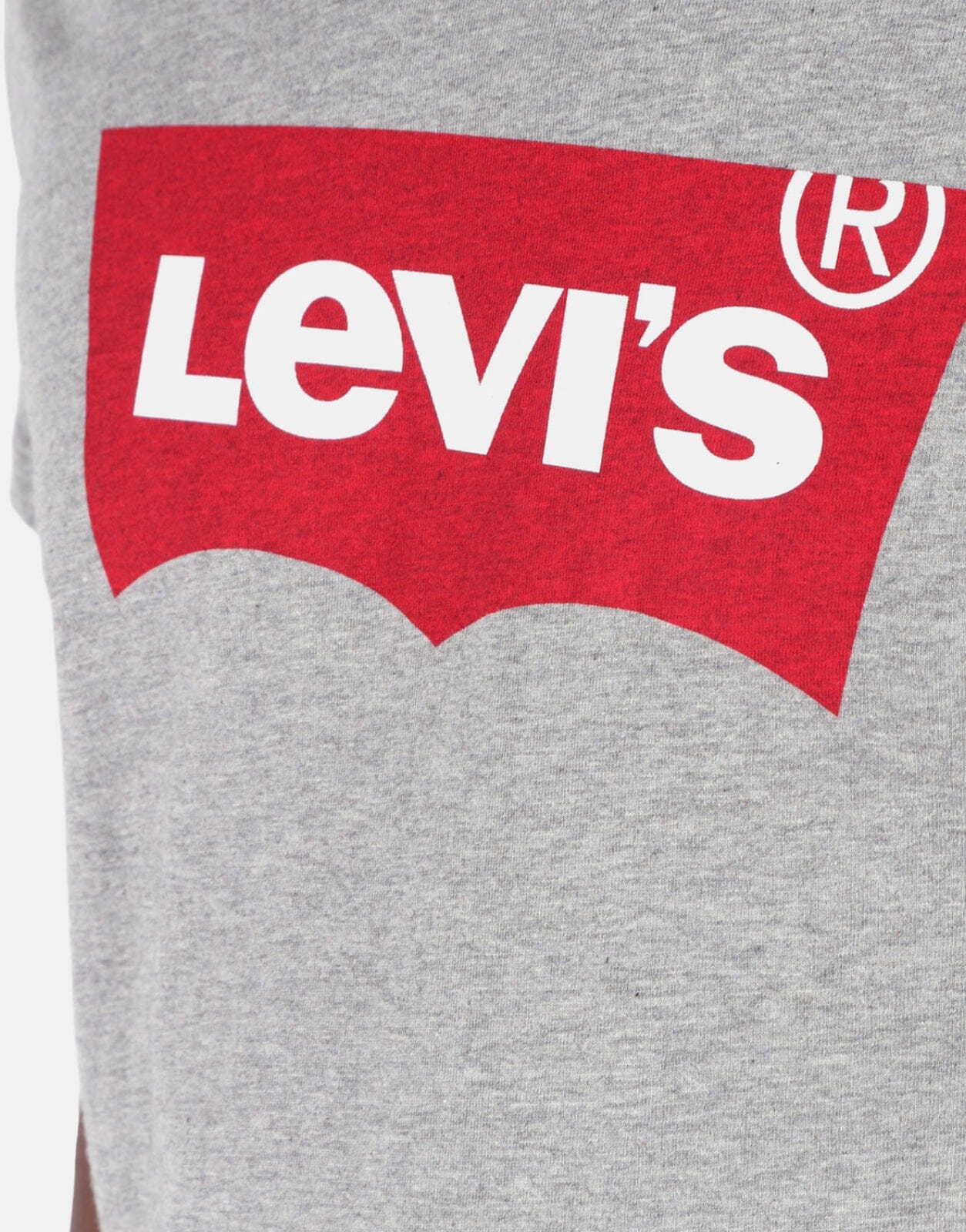 Levis Graphic Set in T-Shirt