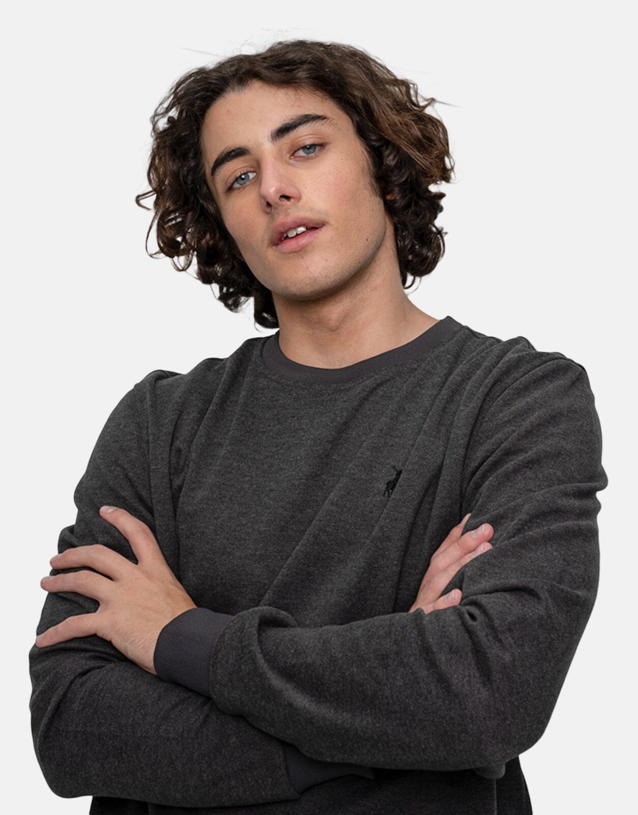 Polo Twill Textured Sweatshirt