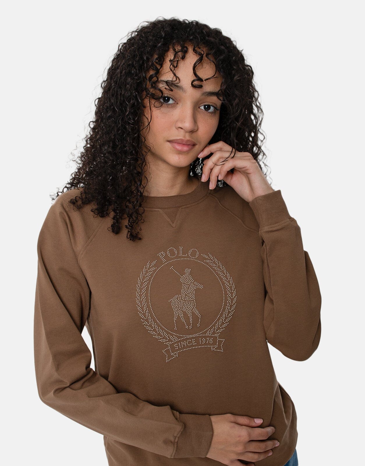 Polo Nailhead Brown Sweatshirt