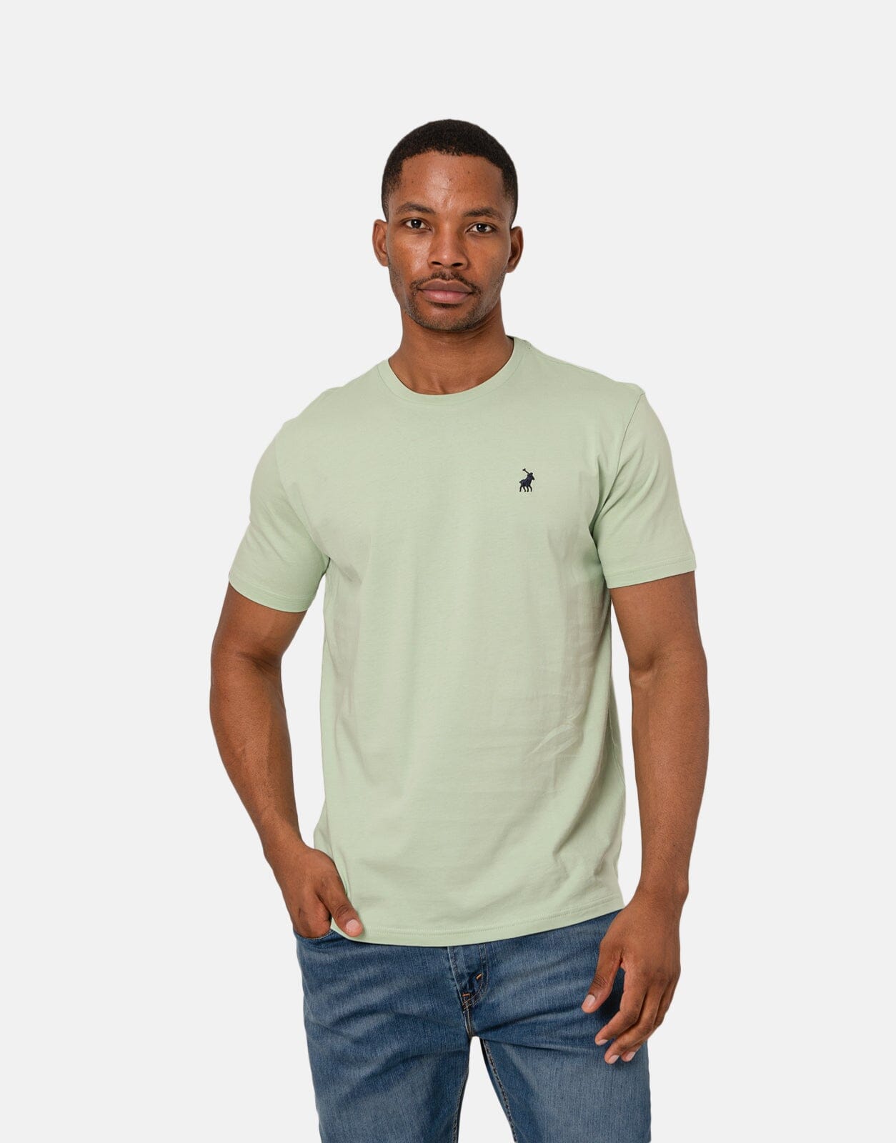 Polo Crew Neck T-Shirt Light Green