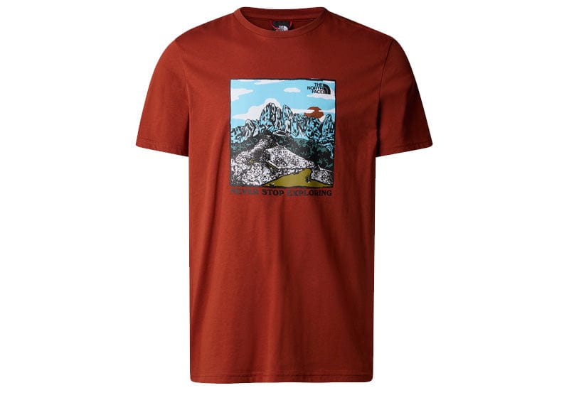 The North Face Graphic Flow T-Shirt 'Brown'