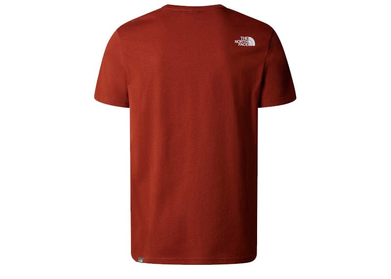 The North Face Graphic Flow T-Shirt 'Brown'